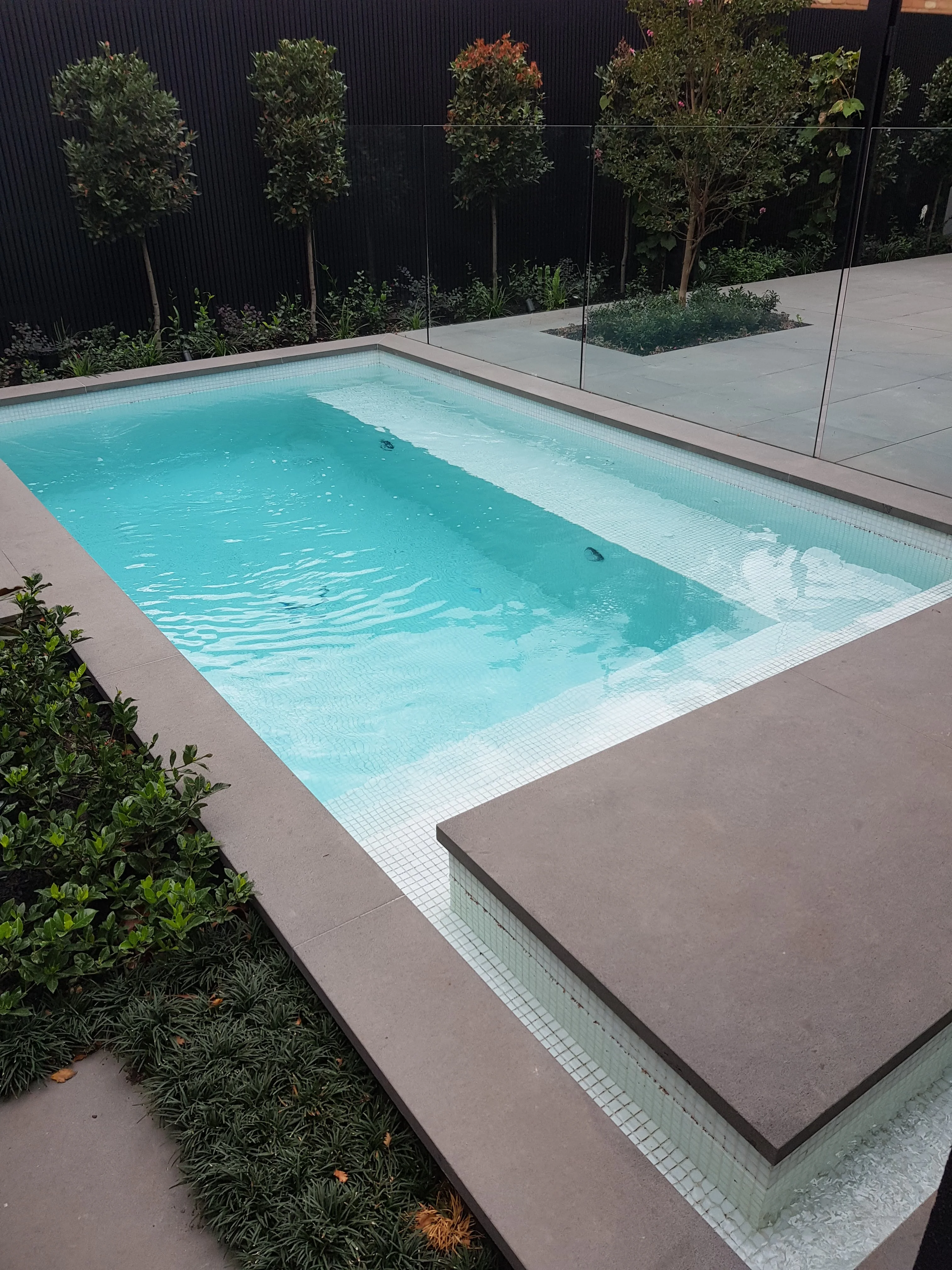 In-ground pool with dark coping, glass fencing and hedging along a dark fence.