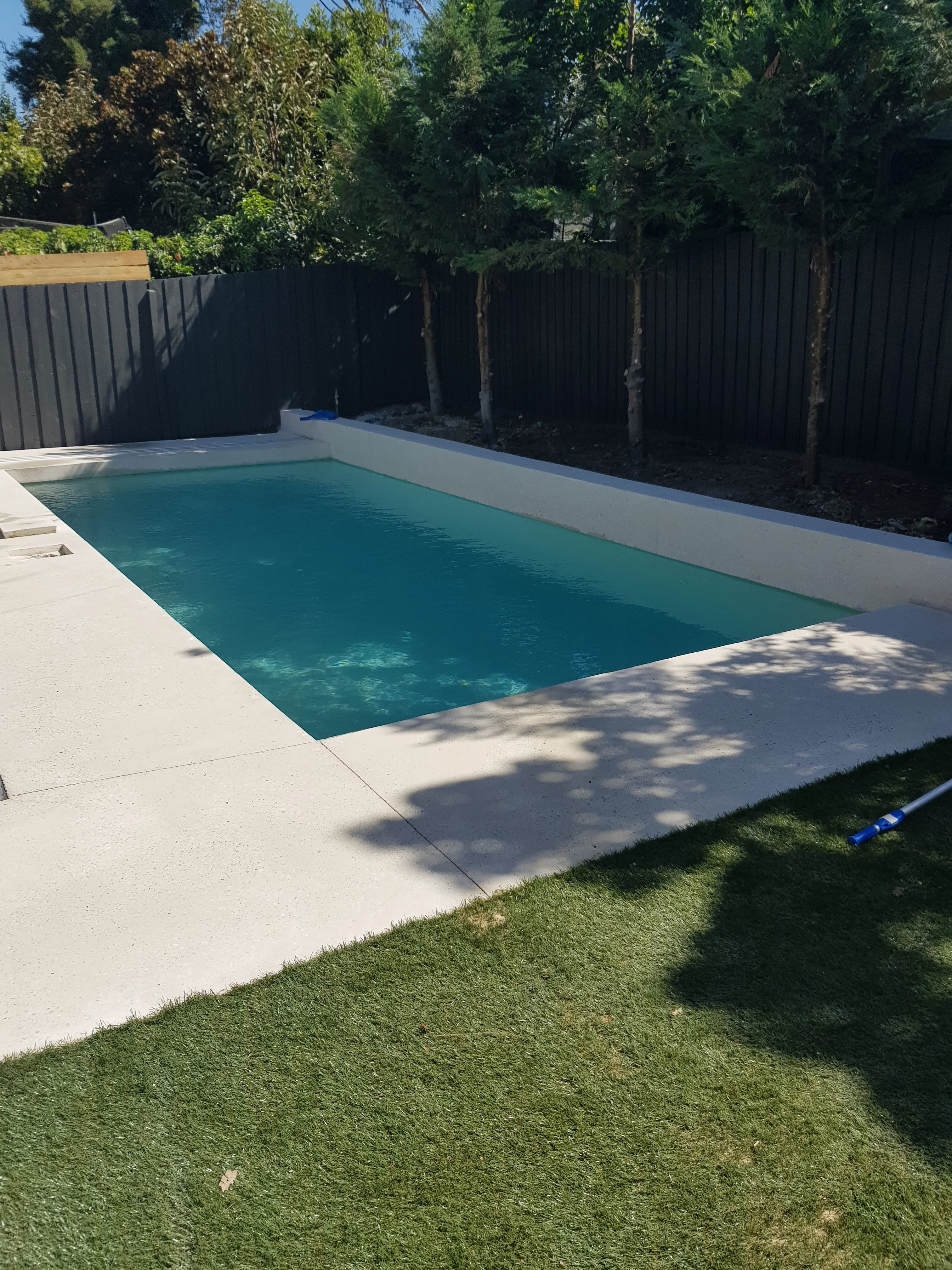 Rectangular pool with light coping and newly laid lawn along a dark fence.