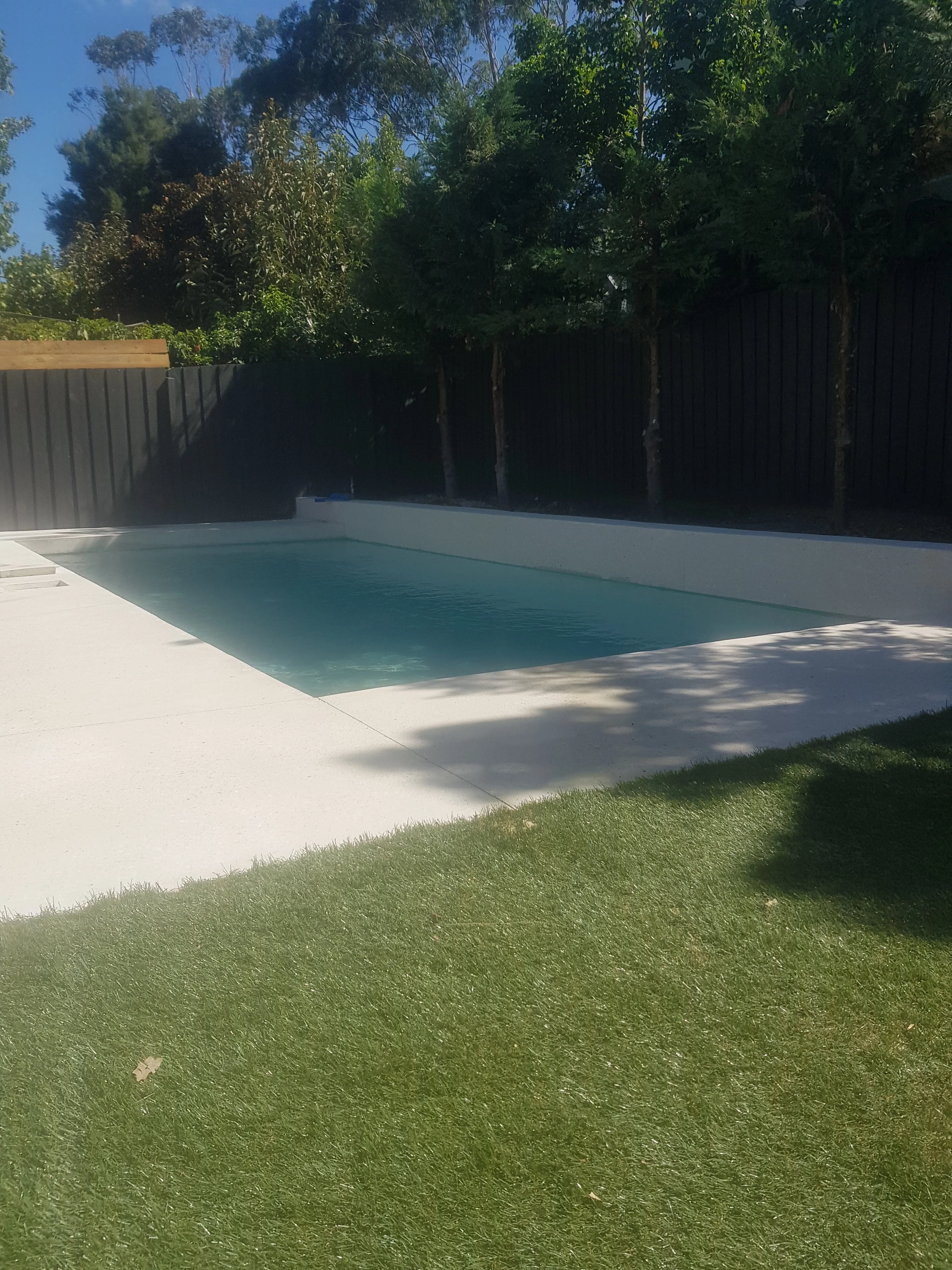 Pool with pale coping and a fresh lawn in front, with trees along a dark boundary fence.