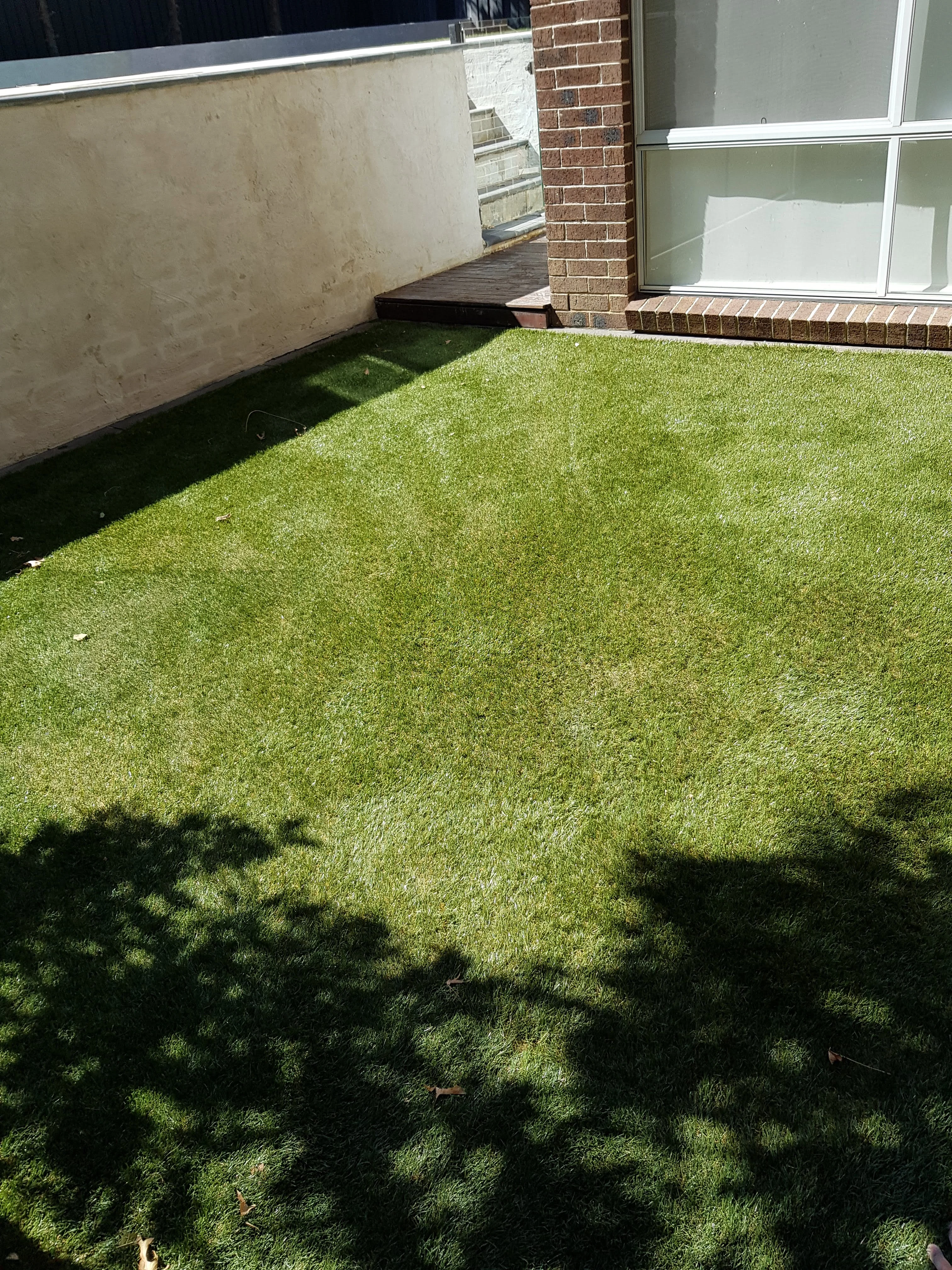 Newly laid green lawn beside a rendered wall and brick house, with tree shadows.