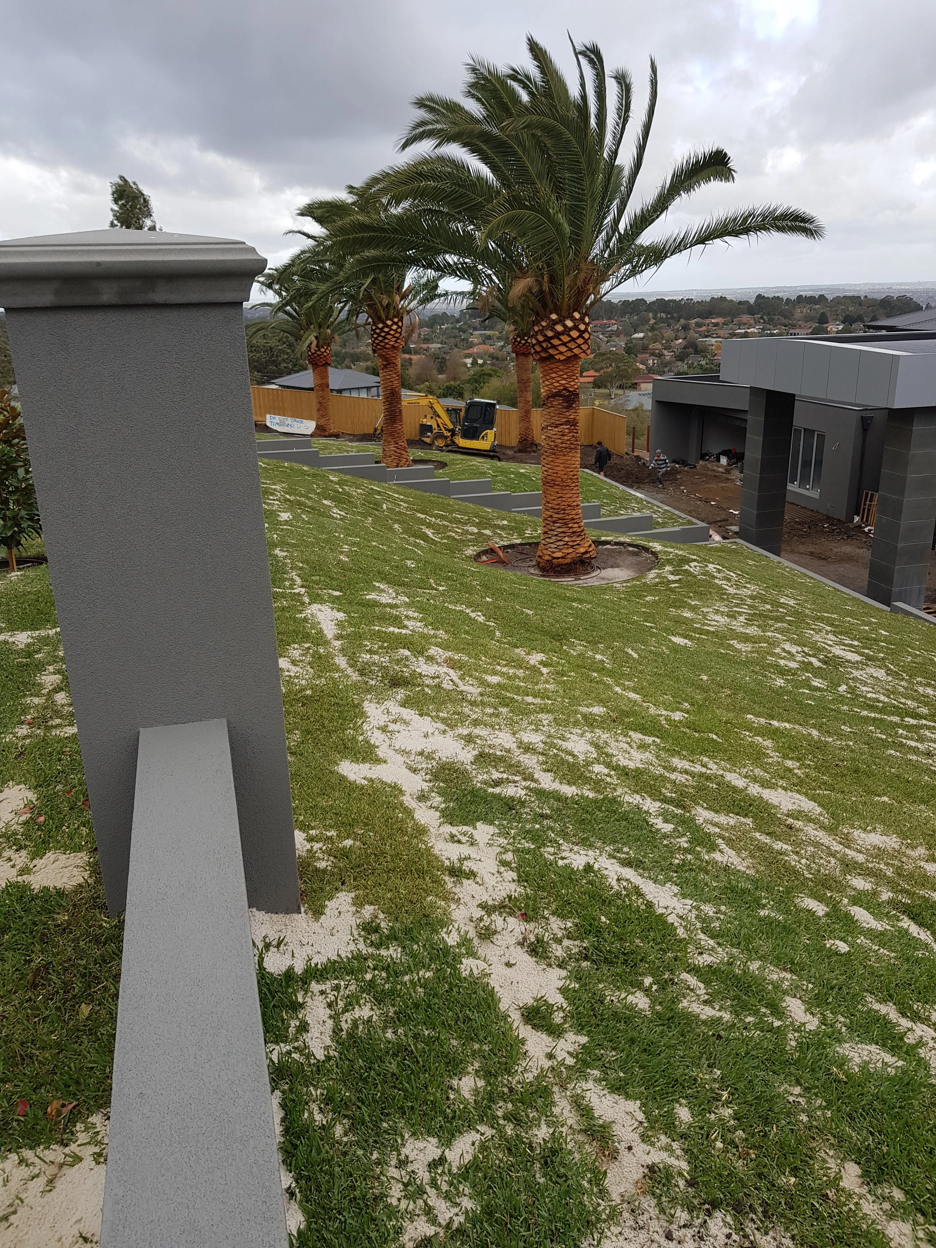 Palms in a new lawn behind grey rendered fence pillars.