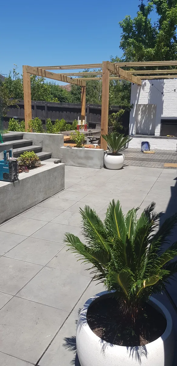 Paved courtyard with a potted cycad and timber pergola
