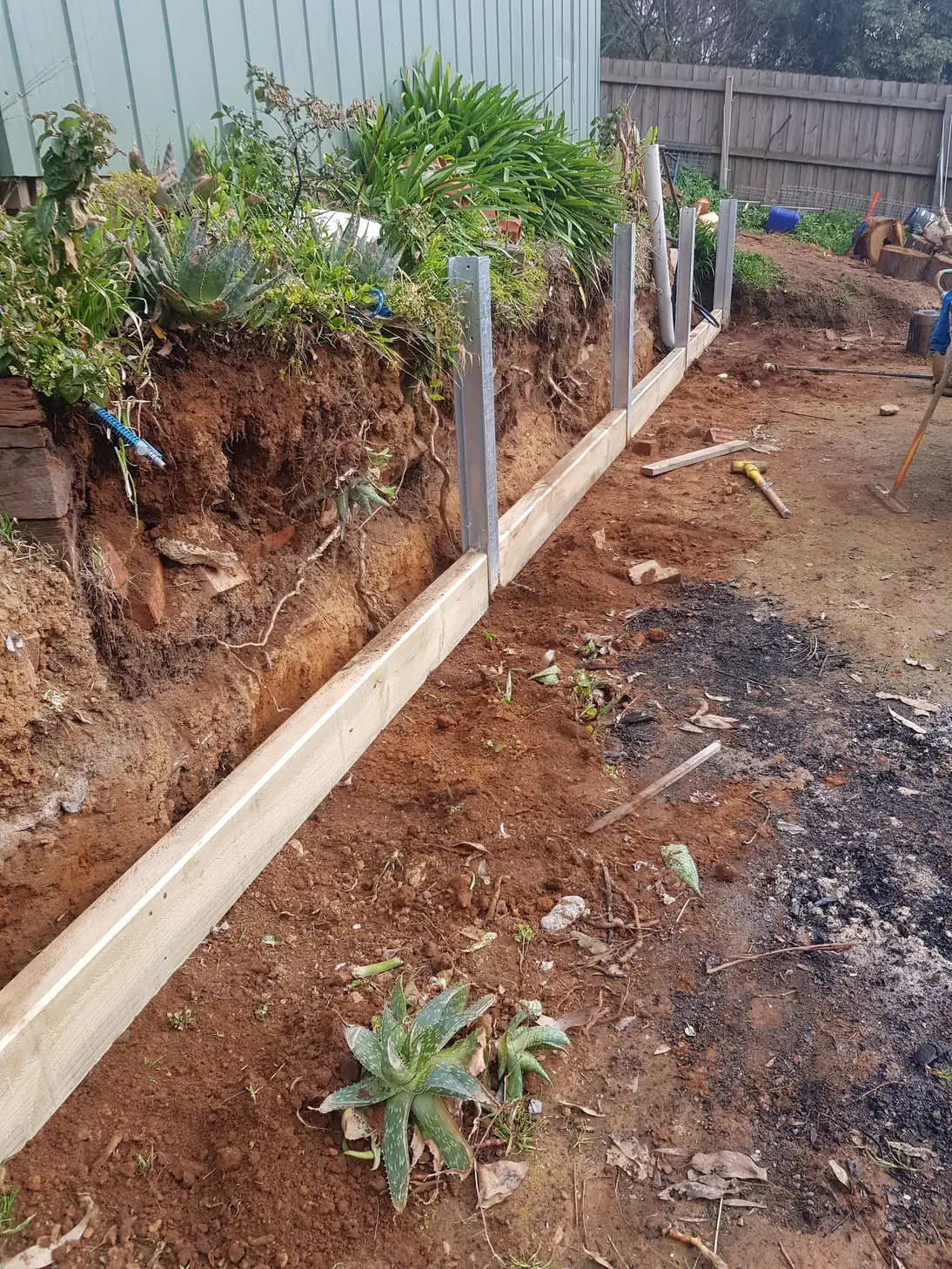 Steel posts and the first timber sleeper set in a trench along a garden bank